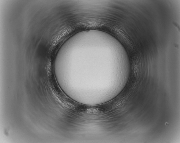 X0000100410591200806201801