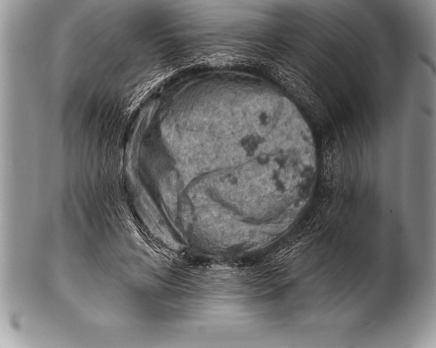 X0000100410592200806201801