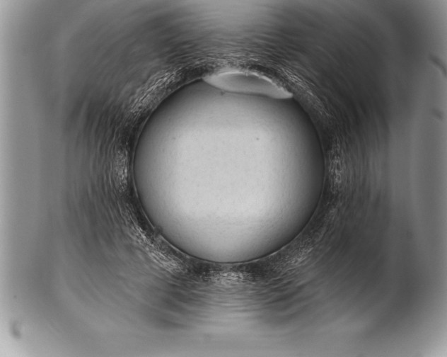 X0000100410593200806201801