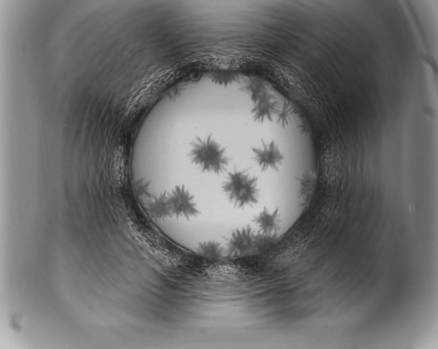 X0000100410594200806201801