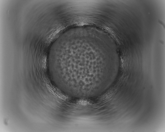 X0000100410596200806201801