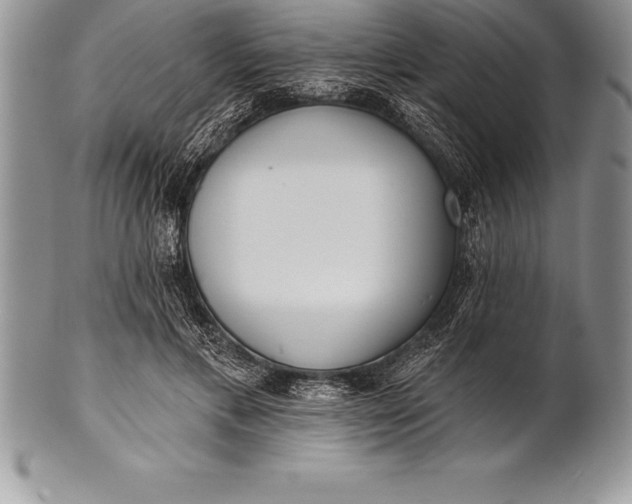 X0000100410597200806201801