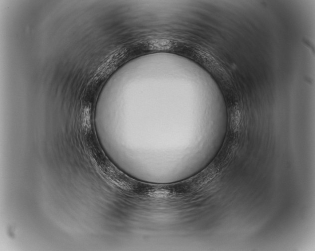 X0000100410598200806201801