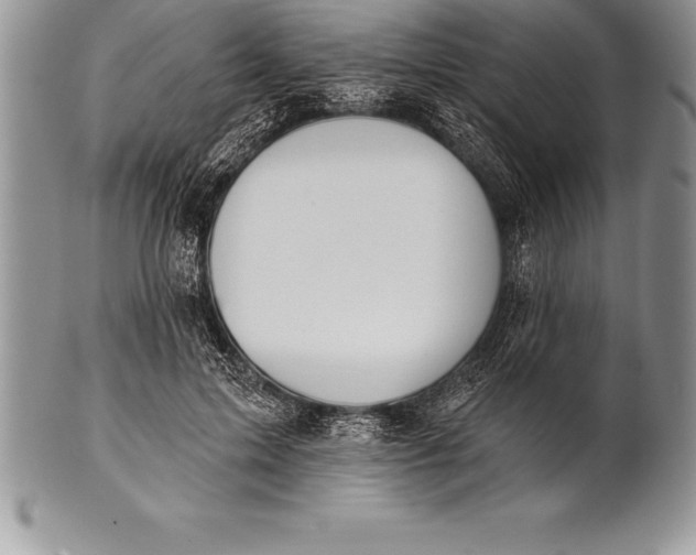 X0000100410599200806201801