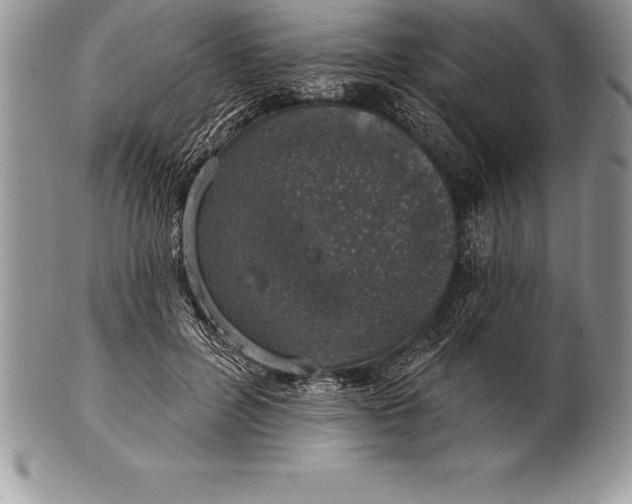 X0000100410600200806201801