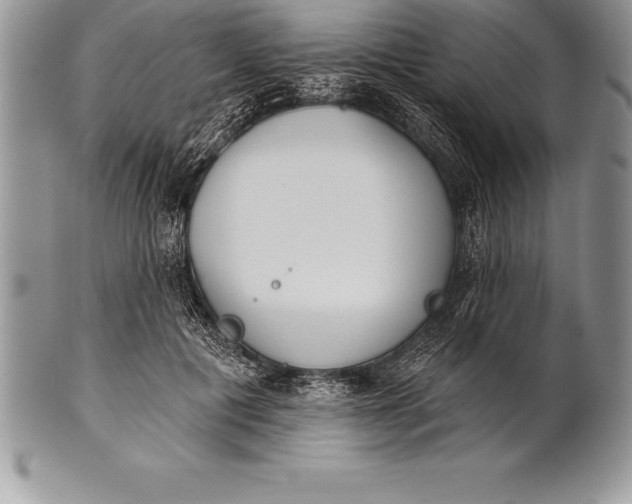 X0000100410601200806201801