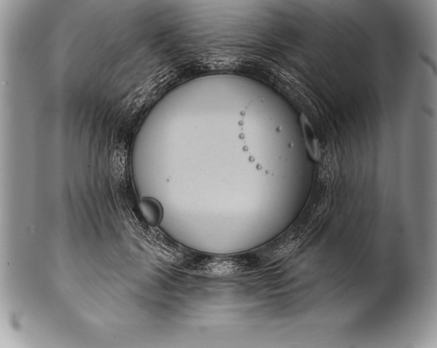 X0000100410604200806201801