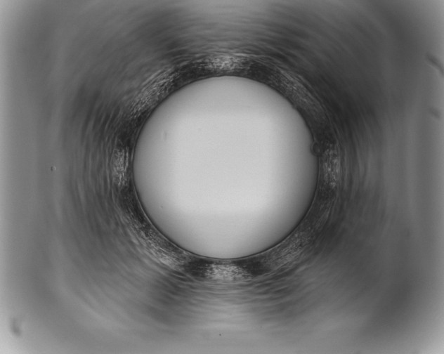 X0000100410605200806201801