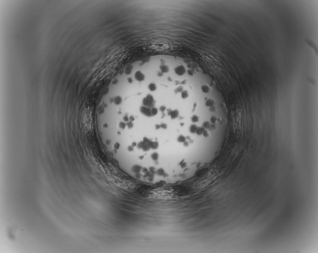 X0000100410606200806201801