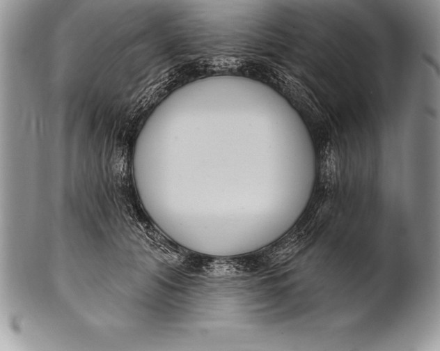 X0000100410608200806201801