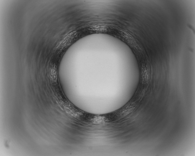 X0000100410609200806201801