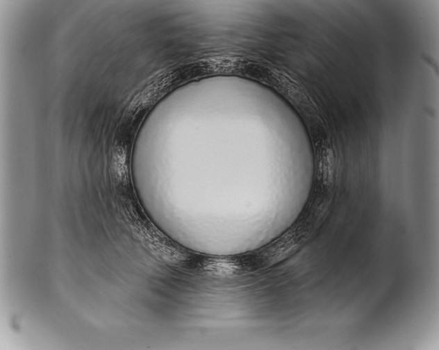 X0000100410610200806201801