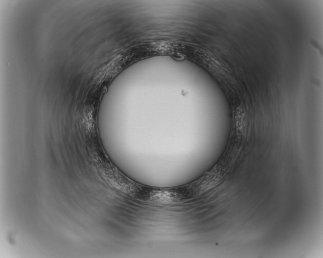 X0000100410611200806201801