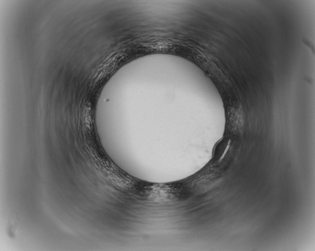 X0000100410612200806201801