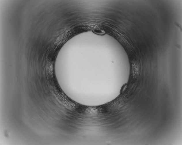 X0000100410613200806201801