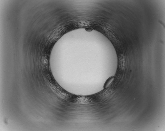 X0000100410614200806201801