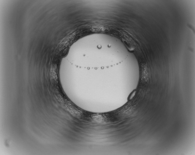 X0000100410616200806201800