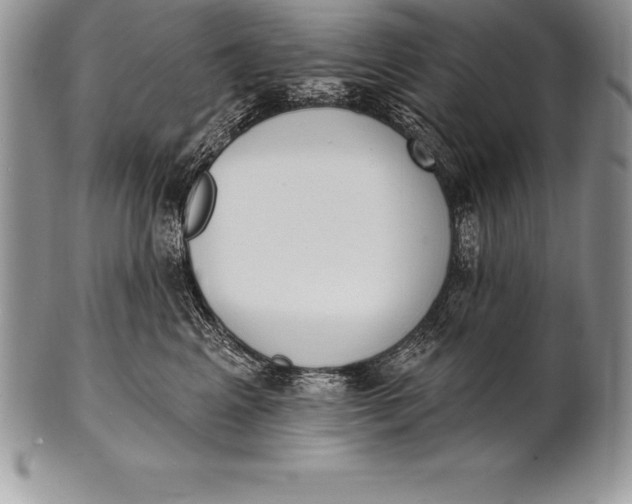 X0000100410617200806201800