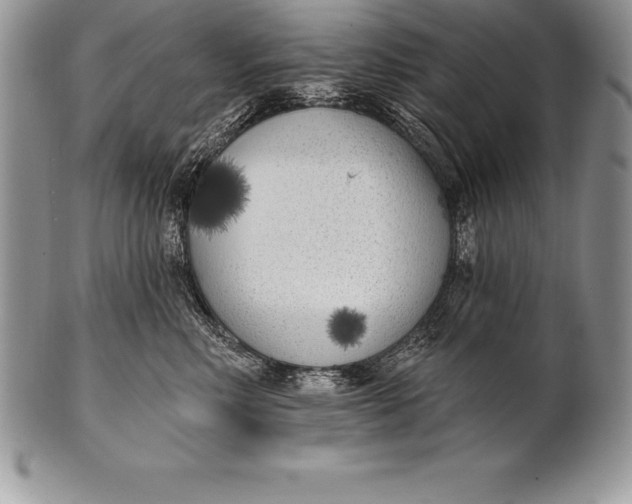 X0000100410618200806201800