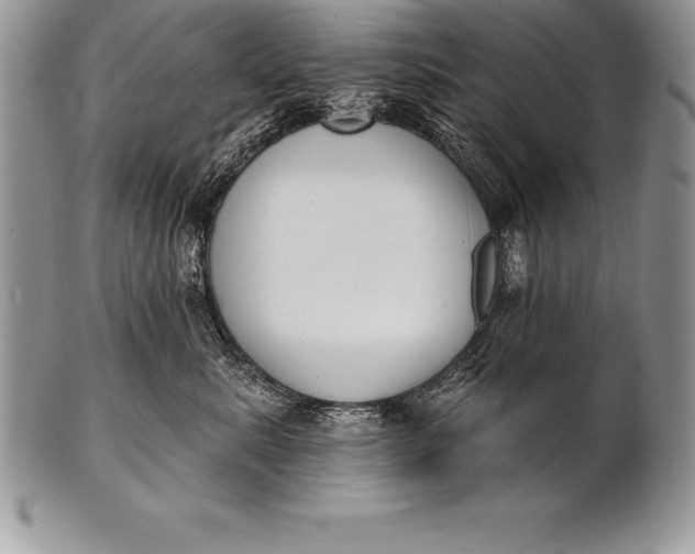 X0000100410619200806201800