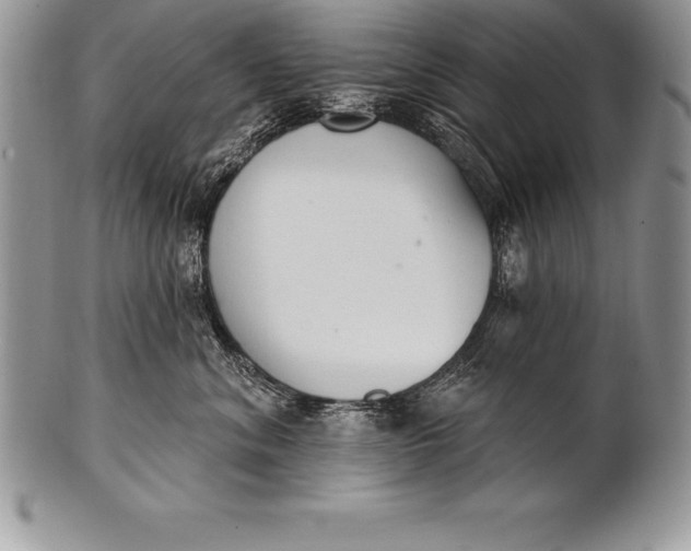 X0000100410620200806201800