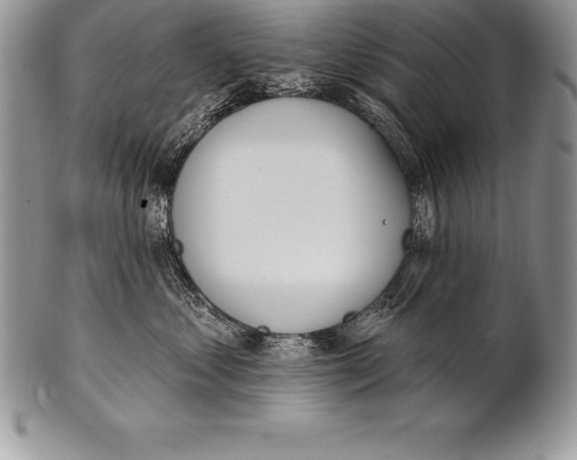 X0000100410621200806201800