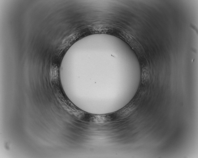 X0000100410623200806201800