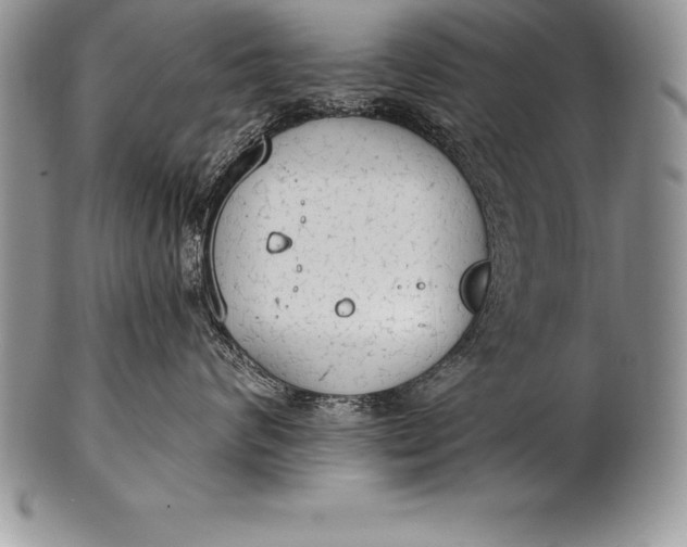 X0000100410624200806201800