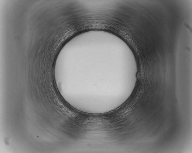 X0000100410625200806201800