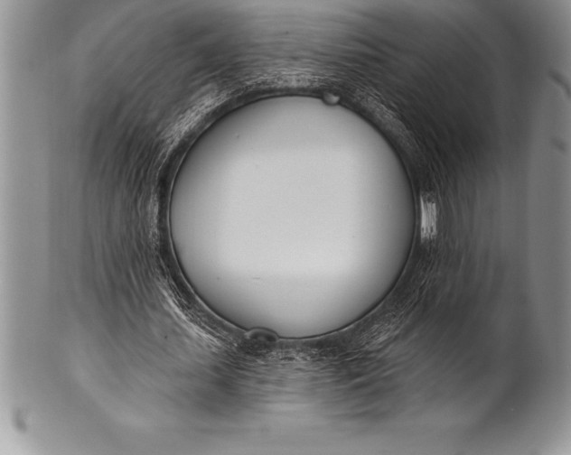 X0000100410627200806201800