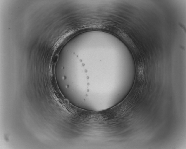 X0000100410628200806201800