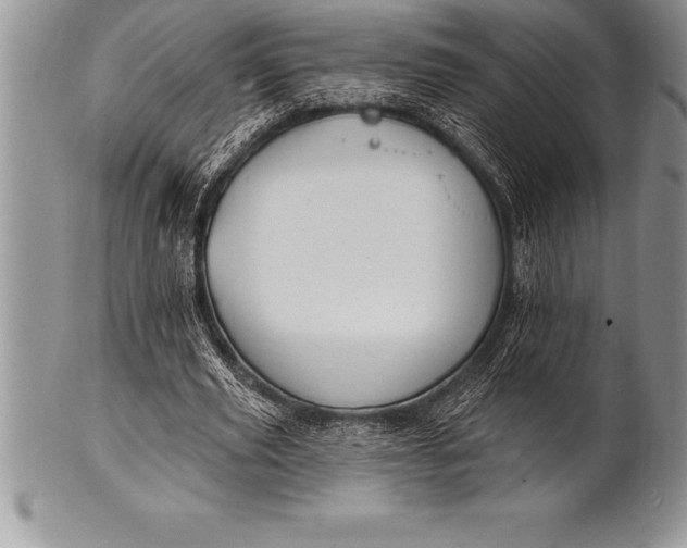 X0000100410629200806201800