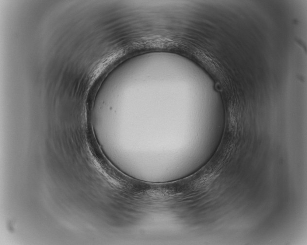 X0000100410630200806201800