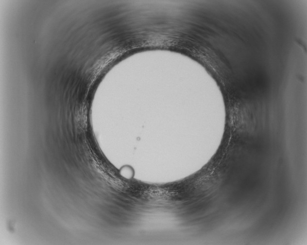 X0000100410632200806201800