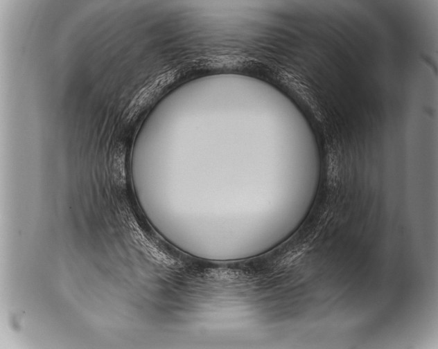 X0000100410633200806201800