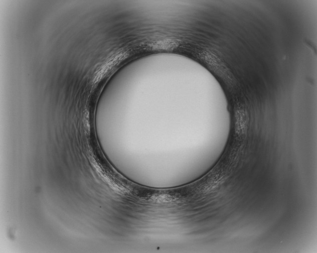 X0000100410634200806201800