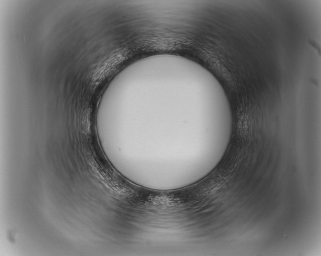 X0000100410635200806201800