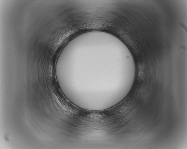 X0000100410636200806201800