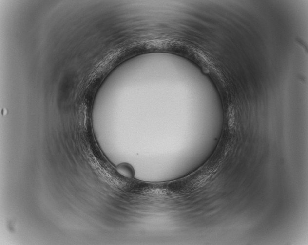 X0000100410637200806201800