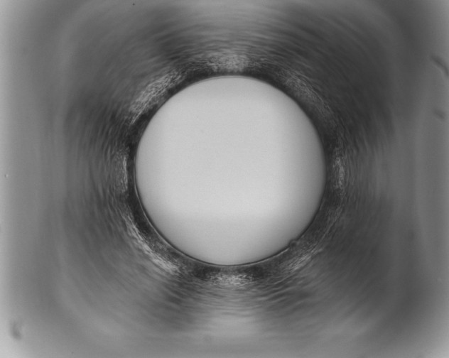 X0000100410638200806201800