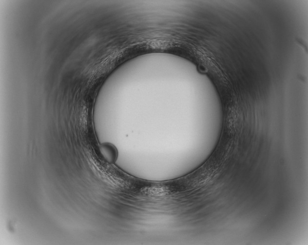 X0000100410639200806201800