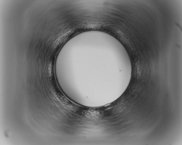 X0000100410640200806201800