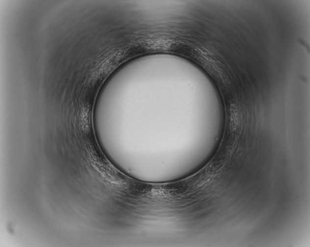 X0000100410641200806201800