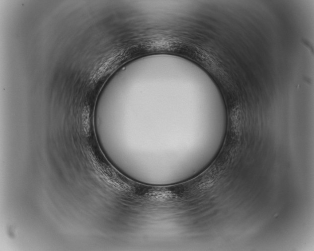 X0000100410642200806201800