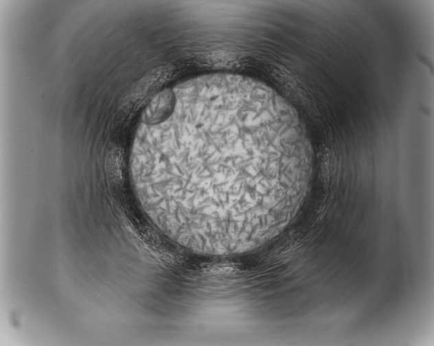 X0000100410643200806201800