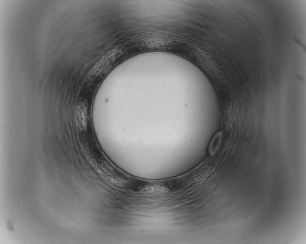 X0000100410644200806201800