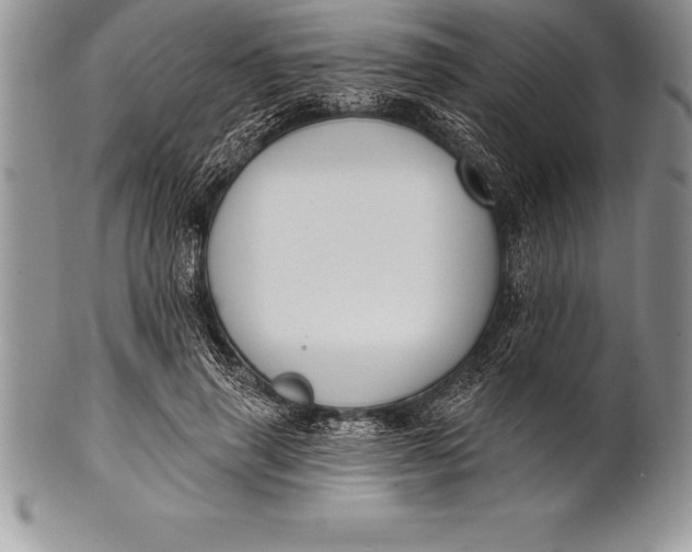 X0000100410645200806201800