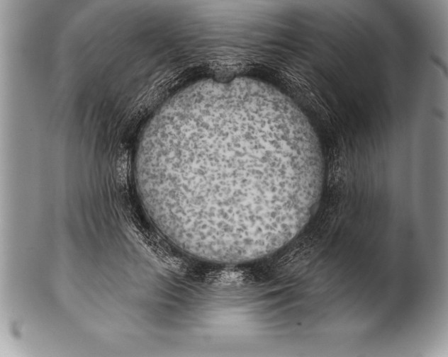 X0000100410647200806201800