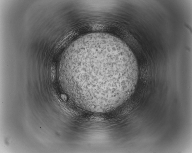 X0000100410648200806201800