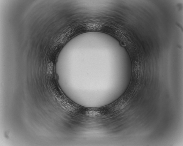 X0000100410649200806201800